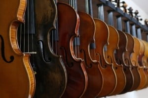 Geigen unterschiedliche Arten und Holz