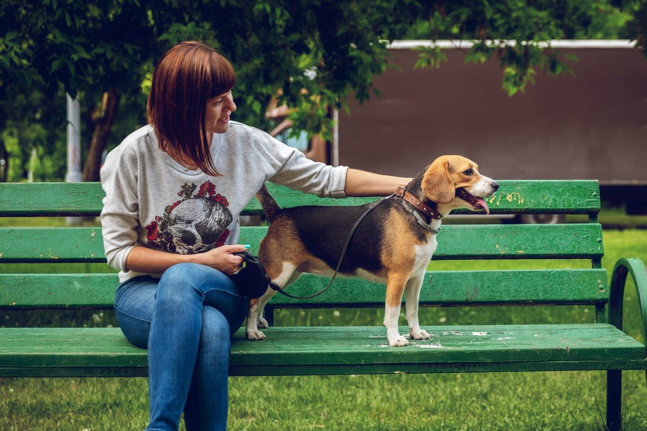 Leder Hundehalsband Hunde lieben