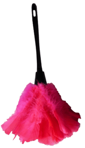 So sieht ein typischer Staubwedel aus.