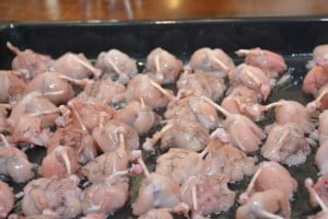 Edelstahl-Braeter fuer Auflauf und Fleisch