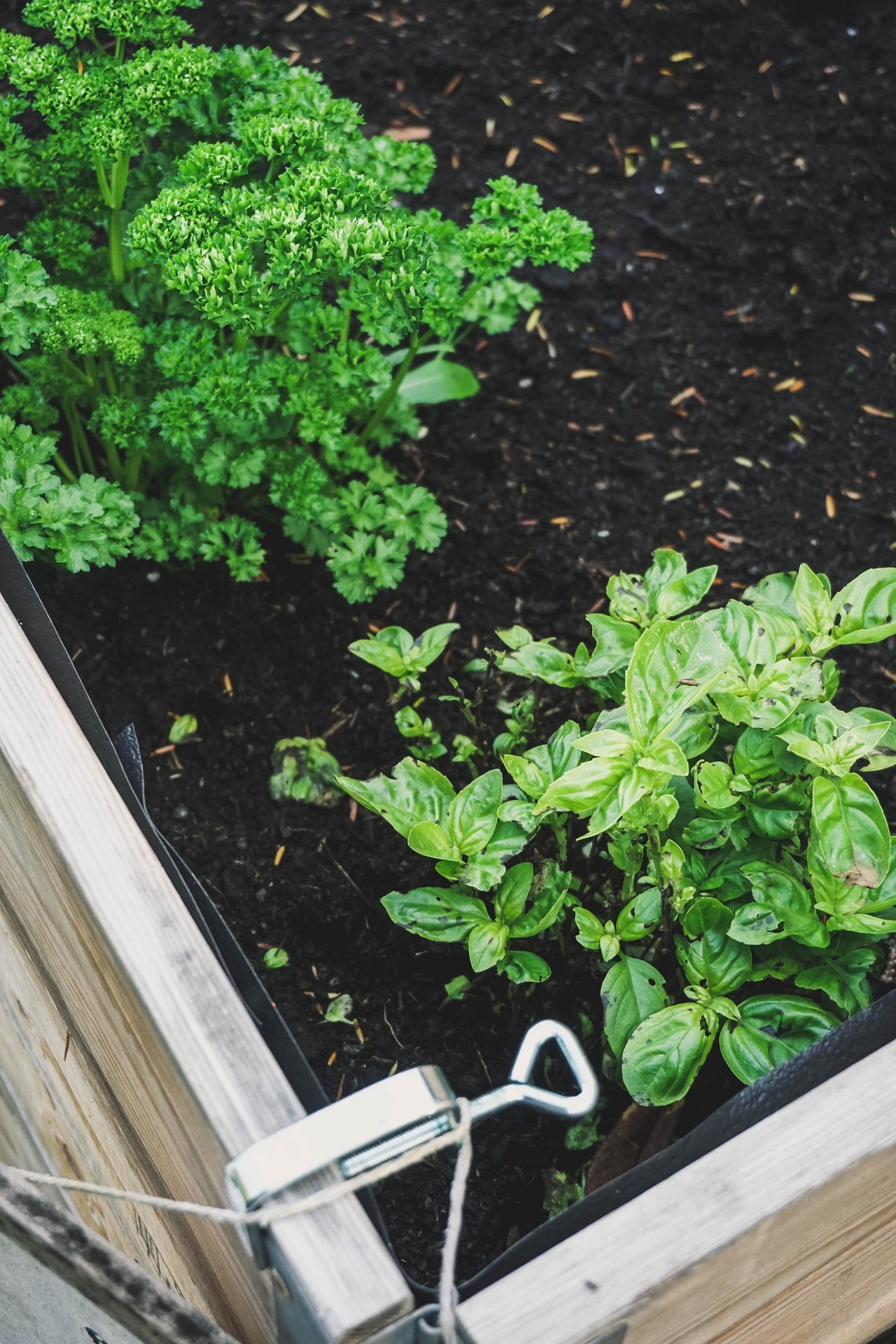 Ein Hochbeet Balkon kannst Du vielseitig, auch auf kleinerer Fläche verwenden, um Gemüse anzubauen oder Kräuter und Blumen zu pflanzen.