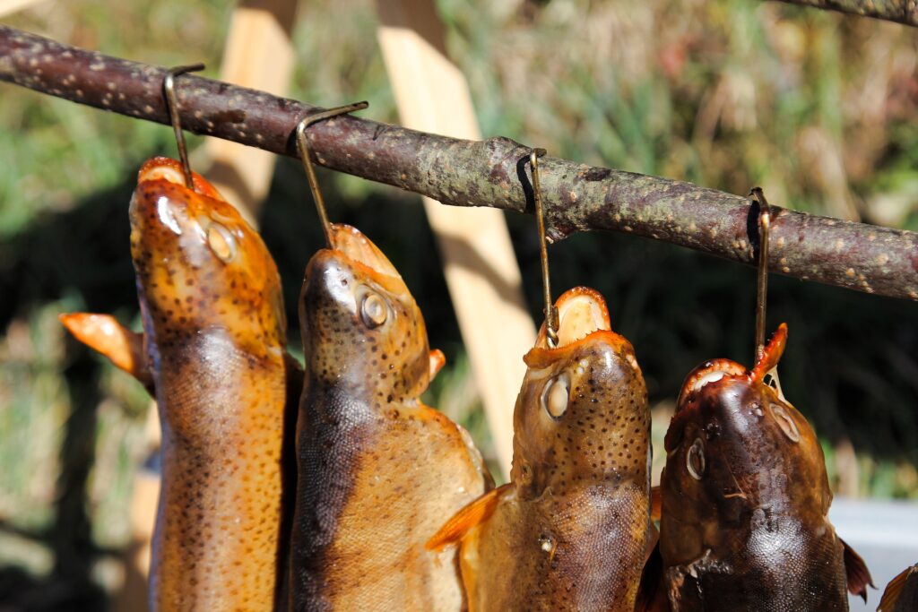 Raeucherofen Fisch raeuchern