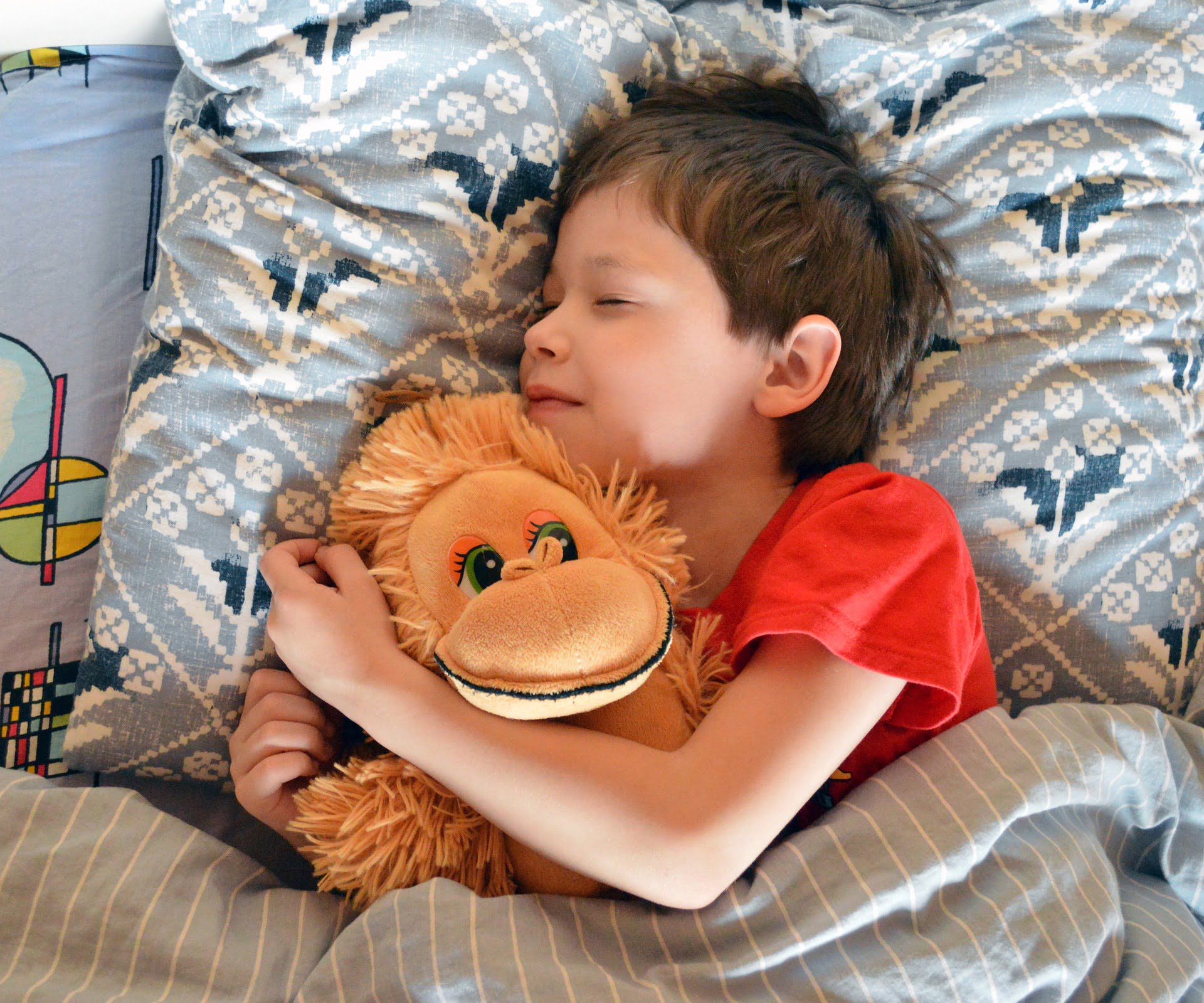 Spielbetten im Vergleich: Hochbett, Bodenbett und Sicherheit